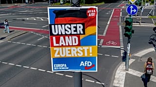 Αφίσες του AfD