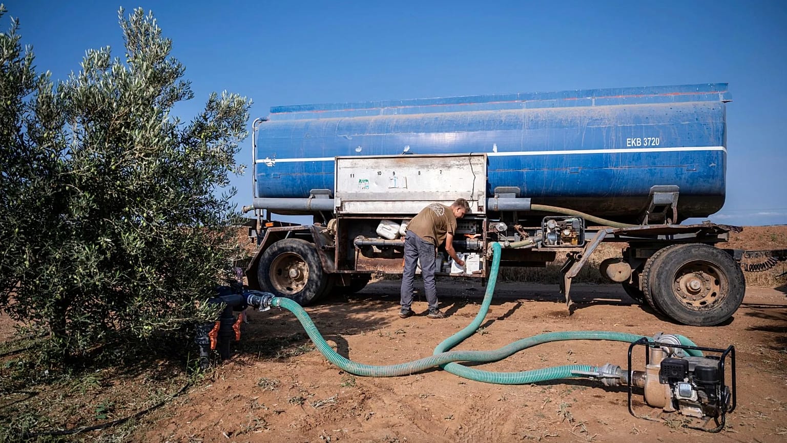 Dimitris Papadakis Jr., Yunanistan'ın kuzeyindeki Halkidiki'nin Nea Silata köyünde bir zeytin bahçesini sulamak için tanker kullanıyor, 19 Ağustos 2024.