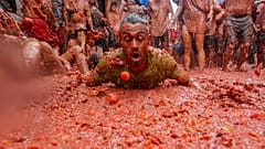 La tomatina 2024, Buñol
