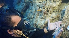Çanakkale'de 3,600 yıllık hançer bulundu.