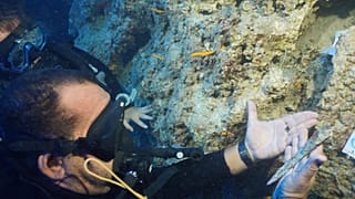 Çanakkale'de 3,600 yıllık hançer bulundu.