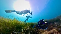 Des biologistes marins utilisent des tablettes intelligentes pour collecter des données sous l'eau