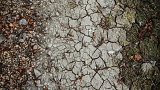 Die extreme Sommerhitze in Ungarn führt zu Dürre und Trockenheit.