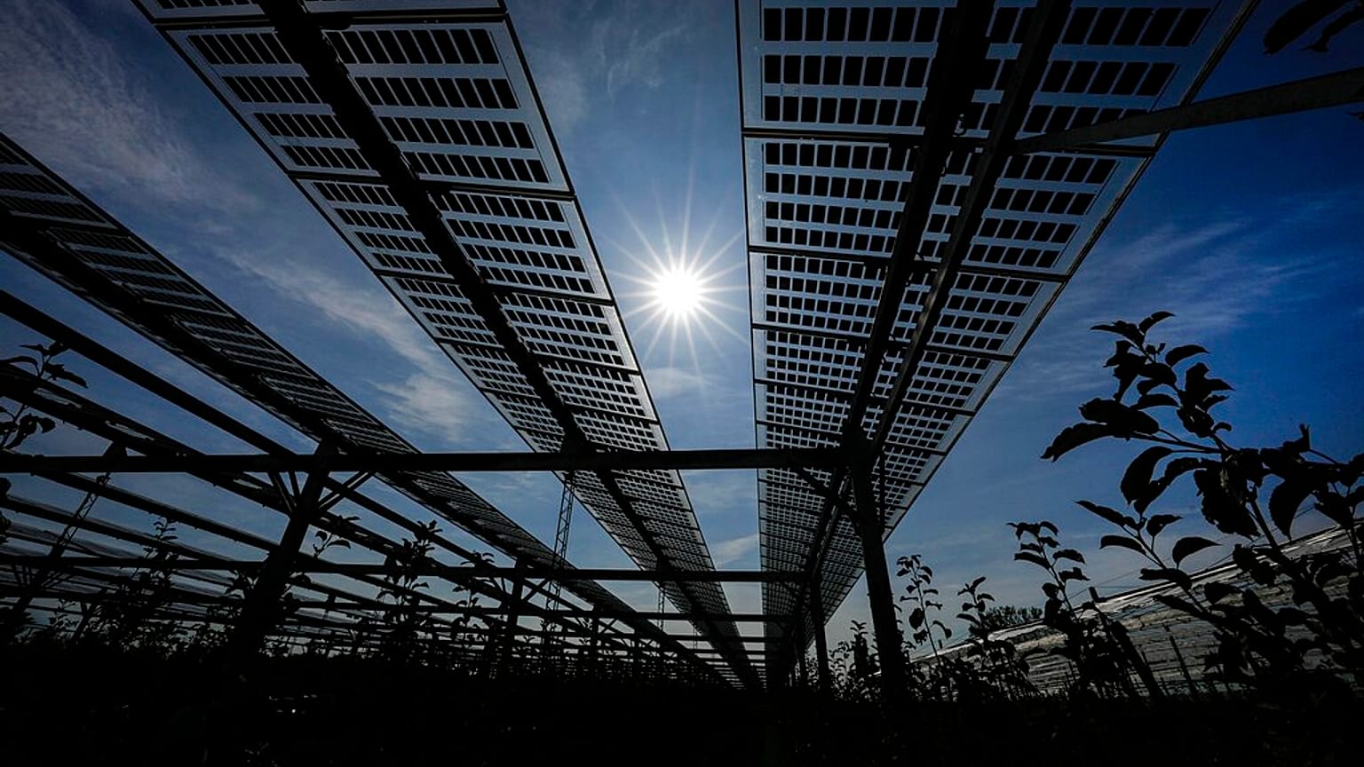 Argri-PV-Anlage