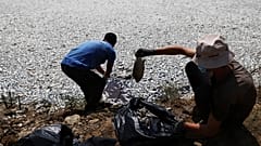Νεκρά ψάρια