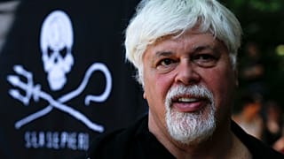 Paul Watson