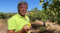 Kampf um Wasser an der Algarve: Landwirte innovieren, um ihre Böden fruchtbar zu halten