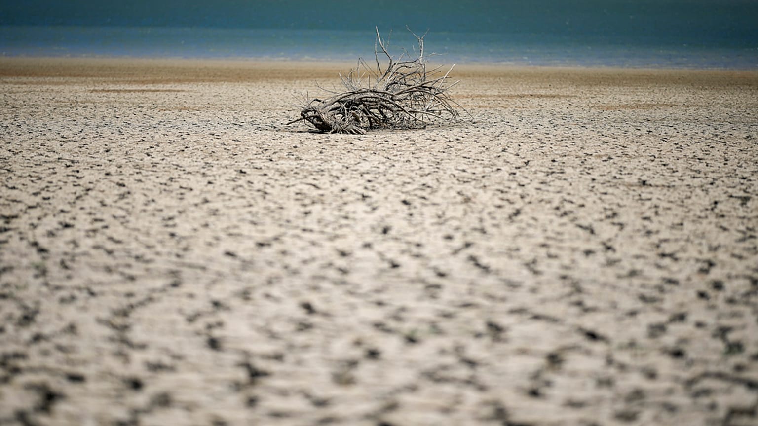Selon World Weather Attribution, les épisodes de sècheresse en Sicile et en Sardaigne ont été aggravés par le changement climatique. 