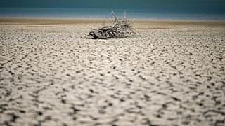Terre aride in Sicilia per colpa della siccità estrema