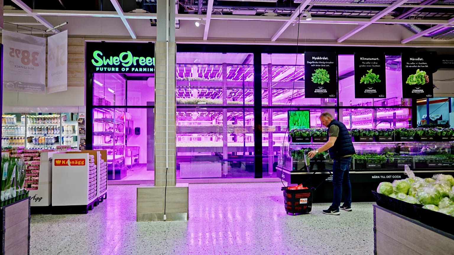 Un uomo acquista verdure da un impianto SweGreen in un supermercato