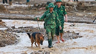 Des secouristes et un chien renifleur recherchent les disparus dans la province de Lao Cai, au Vietnam, le jeudi 12 septembre 2024.