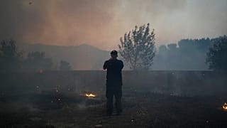 Eine Reihe von Waldbränden hat Wohngebiete in ganz Portugal erreicht.