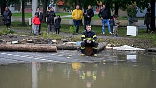 Des évacuations ont aussi été organisées en République tchèque, en Autriche et en Roumanie