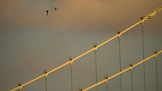 Jaan Roose aus Estland vollendet atemberaubenden Dubai-Wolkenkratzer-Spaziergang in über 200 Metern Höhe