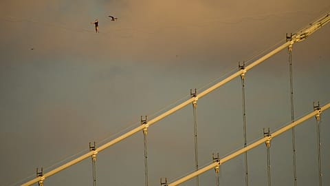 L'entreprise estonienne Jaan Roose achève la construction de gratte-ciel à plus de 200 mètres de hauteur à Dubaï.