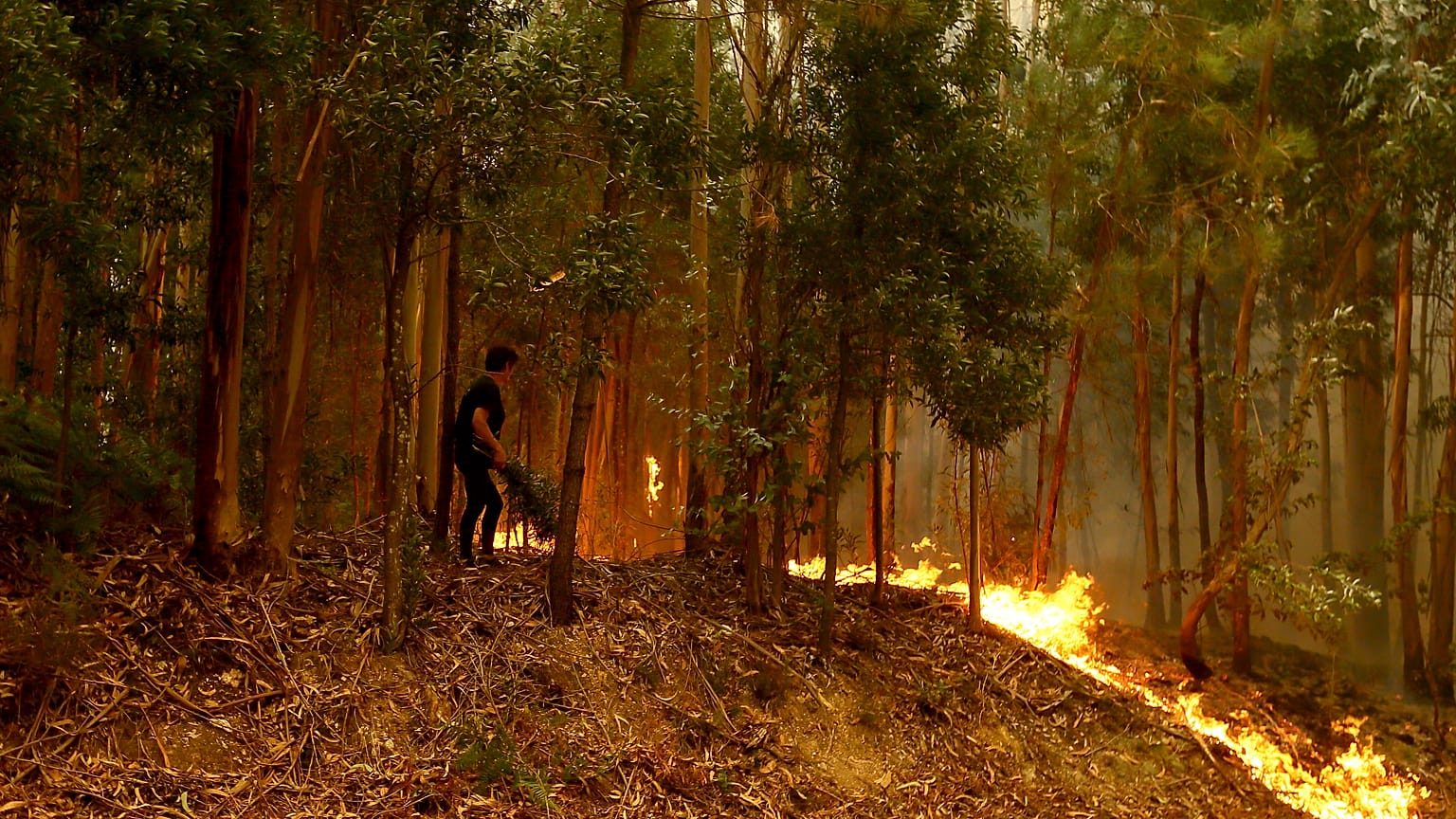 Más de cinco mil operativos luchan contra más de 100 incendios