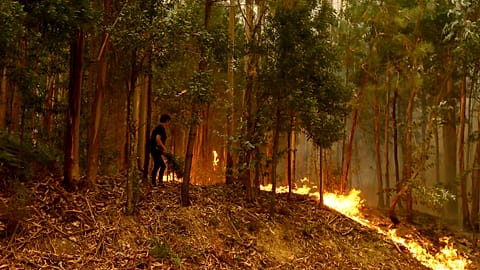 More than five thousand operatives fight more than 100 fires