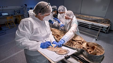Have archaeologists finally uncovered the remains of famed French Renaissance poet?