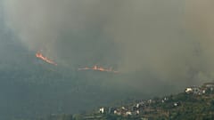 Η Πορτογαλία είναι η χώρα της ΕΕ με το υψηλότερο ποσοστό καμένης έκτασης