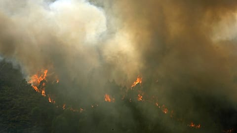 Trees burn on a hillside near Castro Daire, a town in one of the areas in northern Portugal worst hit by the forest fires of the recent days, Thursday, Sept. 19, 2024.