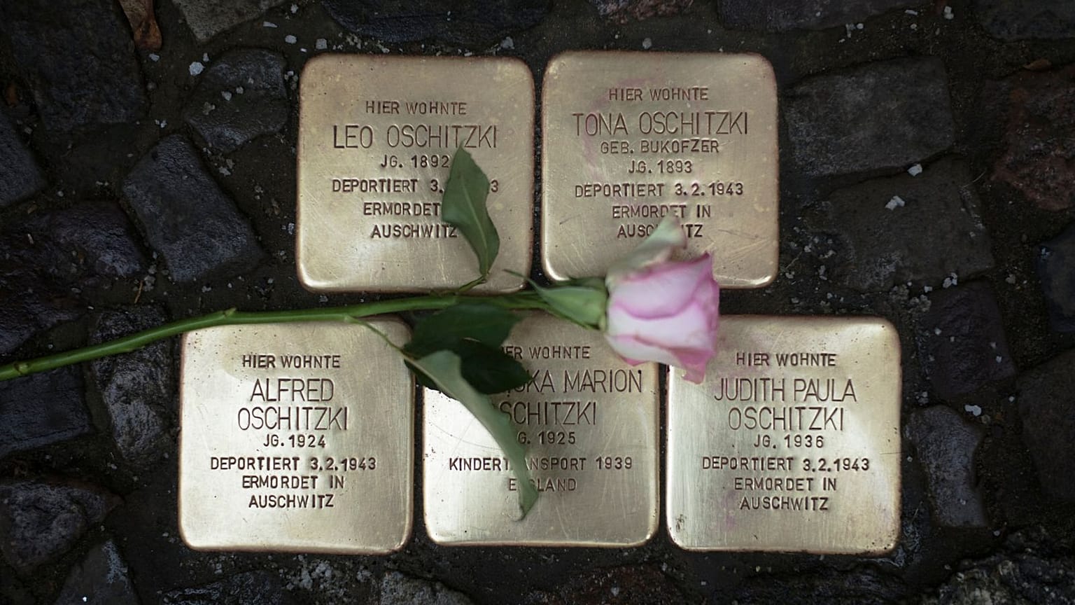 What is a Stolperstein and why is there controversy in the Netherlands?