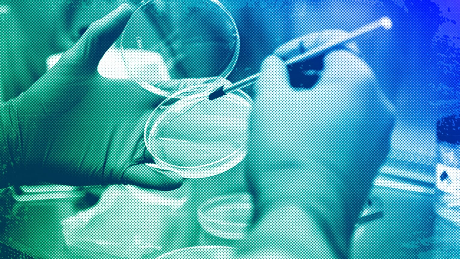 A technician culturing bacteria to study immune defence at NASA Ames Research Center in Mountain View, CA, December 2012