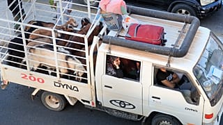 Жители южных ливанских деревень на шоссе, ведущем в Бейрут, на фоне продолжающихся израильских авиаударов, Сидон, 24 сентября 2024 г.