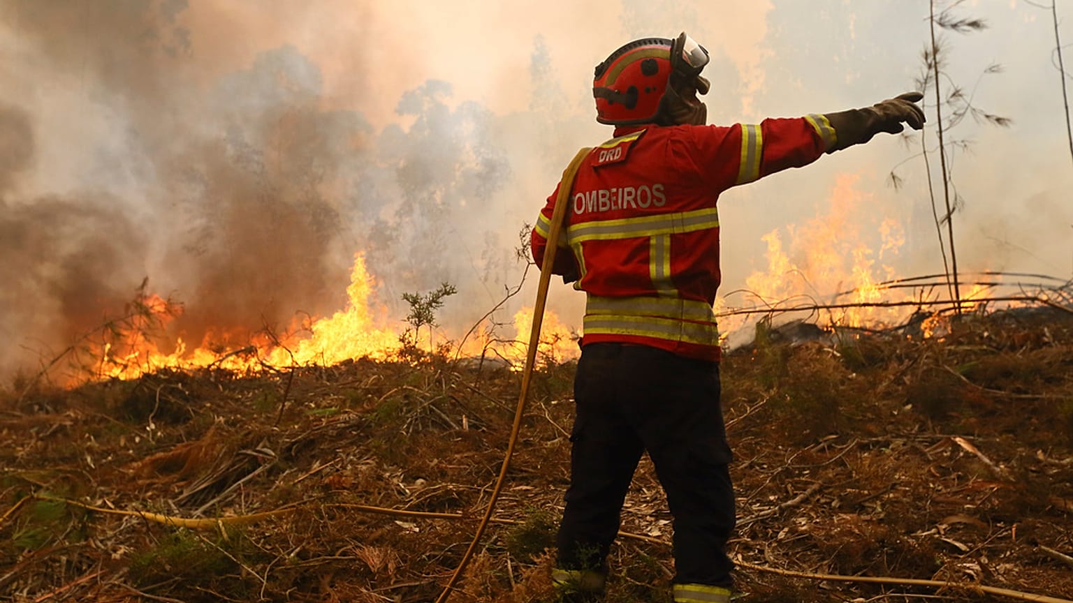 Los bomberos, exhaustos por la lucha contra los incendios en Portugal