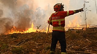 Incêndios Portugal