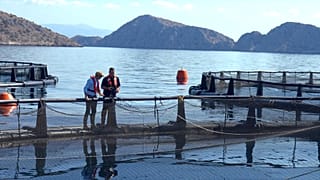 Wechselnde Standorte und Netze: Wie sich Fischzüchter im Mittelmeer an den Klimawandel anpassen
