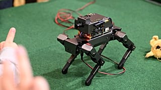 Robotkutya-bemutató a budapesti Kutatók éjszakája rendezvényen 2024. szeptember 27-én - képünk illusztráció