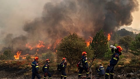 Das Feuer hat zwei Menschenleben gefordert und ein großes Waldgebiet verwüstet.