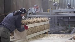 Arquitectos búlgaros construyen viviendas sostenibles.