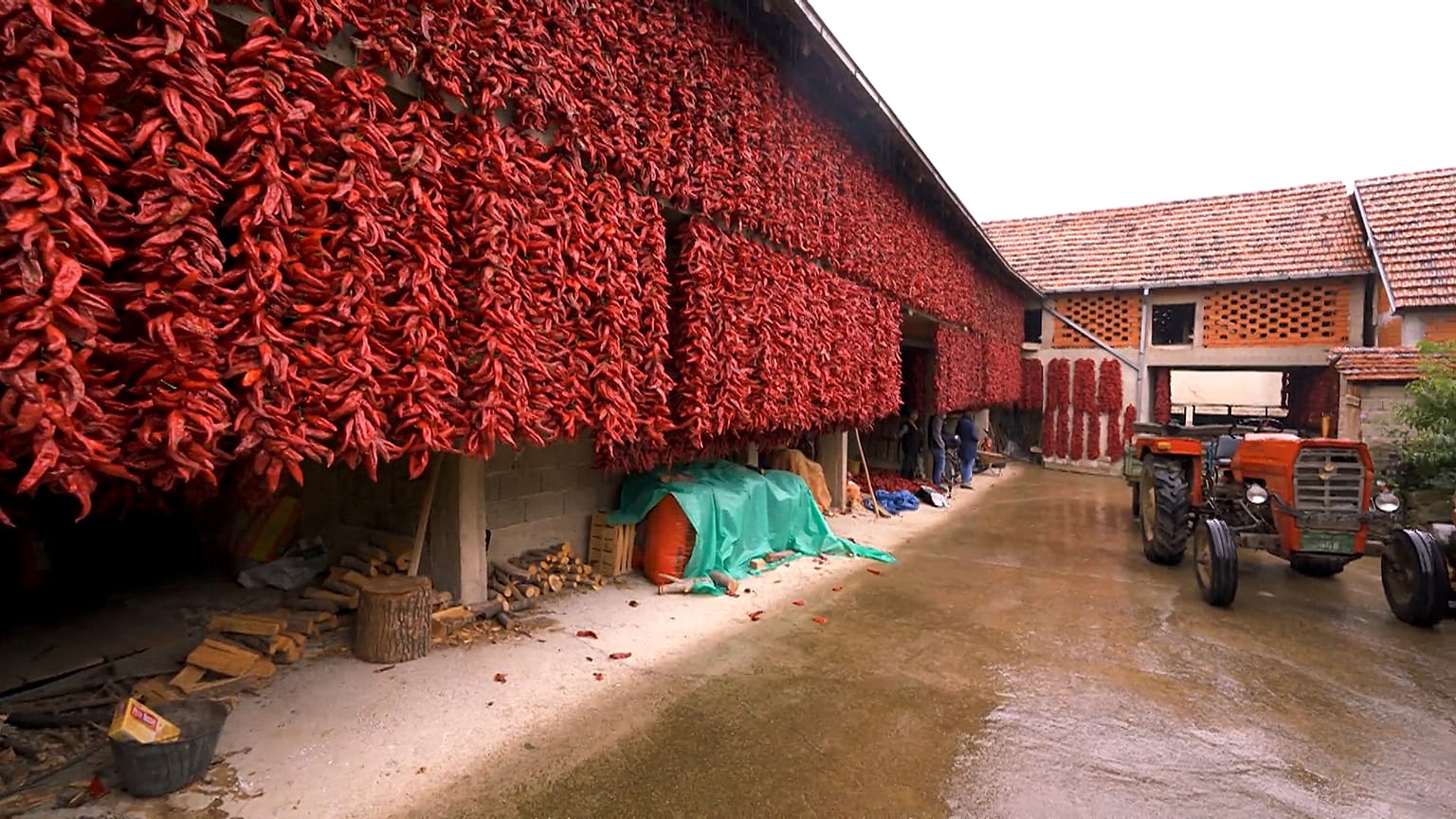 Explora la aldea de Donja Lokošnica y las alfombras artesanales de Pirot, patrimonio de la Unesco