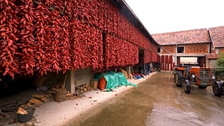 Explora la aldea de Donja Lokošnica y las alfombras artesanales de Pirot, patrimonio de la Unesco