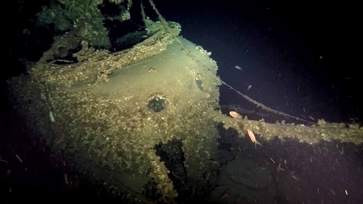 HMS Trooper