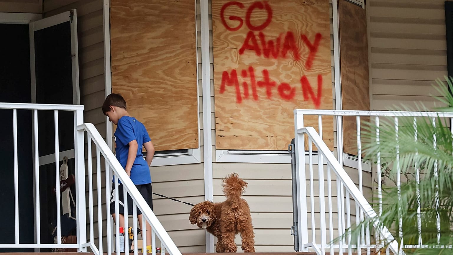 Noah Weibel and his dog Cookie climb the steps to their home as their family prepares for Hurricane Milton on 7 October 2024, in Port Richey, Fla. 
