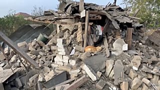 Последствия российского удара по Запорожью