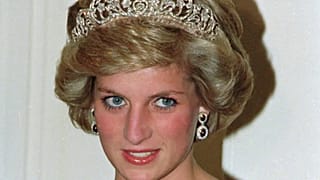 Prenses Diana, Prens William ve Harry'nin annesiydi. Kendisini uluslararası bir ikon haline getiren aktivizmi ve ihtişamı, ona kalıcı bir popülerlik kazandı