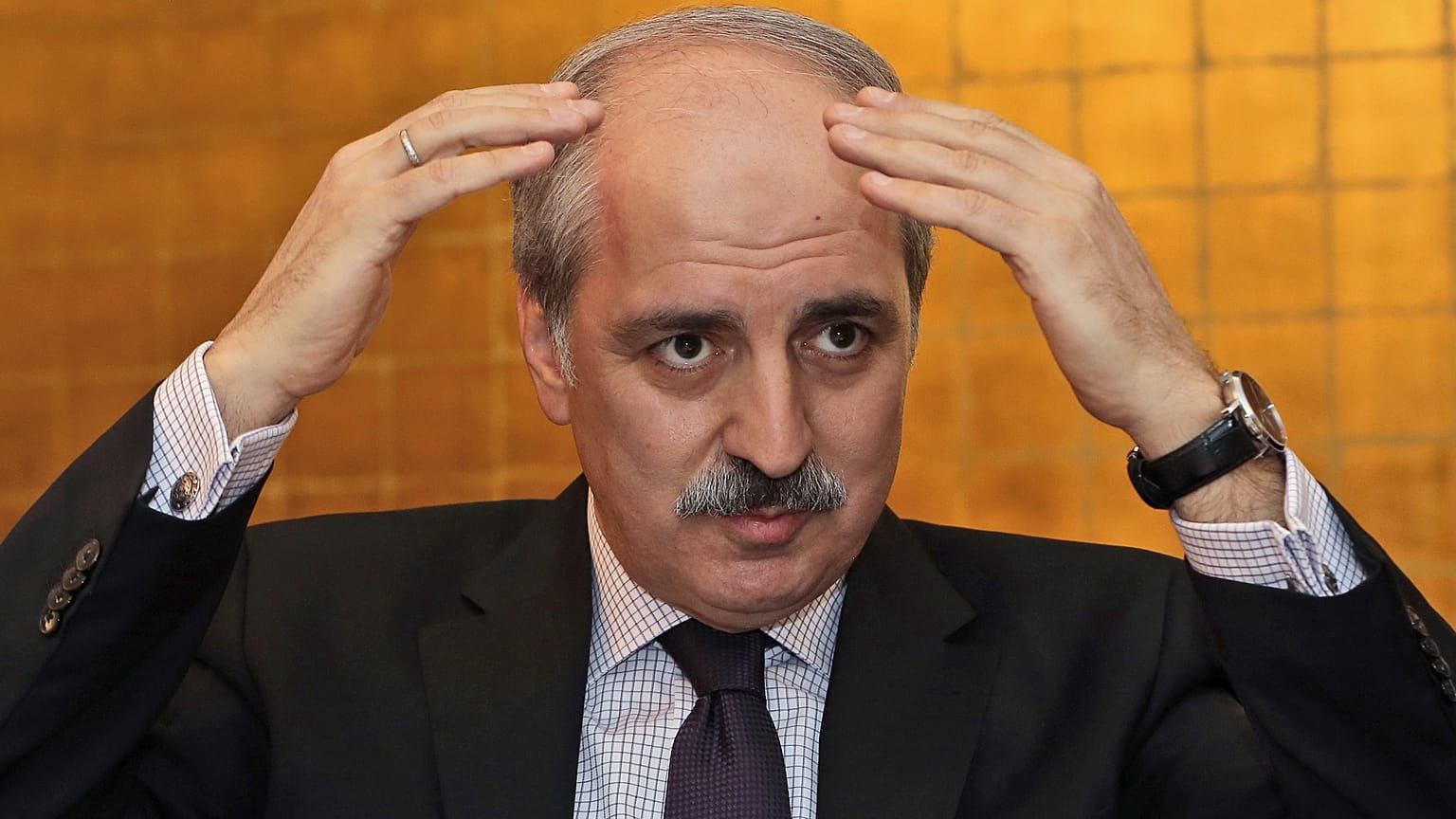 ARŞİV: Dönemin AK Parti Genel Başkan Yardımcısı Numan Kurtulmuş, Ankara'da yabancı medya mensuplarına konuşuyor, 21 Ocak 2014.