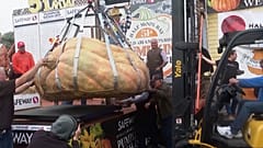 Mit diesen 1090 kg gewann der Riesenkürbis den ersten Platz beim 51. Festival "Half Moon Bay Safeway Annual World Championship Pumpkin Weigh-Off" in Kalifornien.