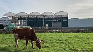 O parque flutuante está localizado no porto de Roterdão