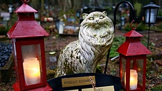 U cimitero per animali domestici a Helsinki, Finlandia 