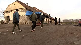 Ферма, расположенная у границы Сербии с Венгрией 