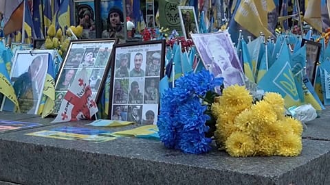 Gros plan sur des fleurs à côté de portraits de soldats morts au combat.