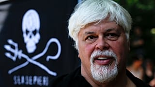 Paul Watson, fondatore e presidente di Sea Shepherd, partecipa a una manifestazione contro il governo del Costa Rica nel 2012.