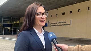 Cristina Gherasimov, Moldova miniszterelnök-helyettese és európai integrációért felelős minisztere