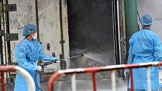 حديقة حيوانات Vuon Xoai في فيتنام، يوم الخميس 3 أكتوبر 2024. 