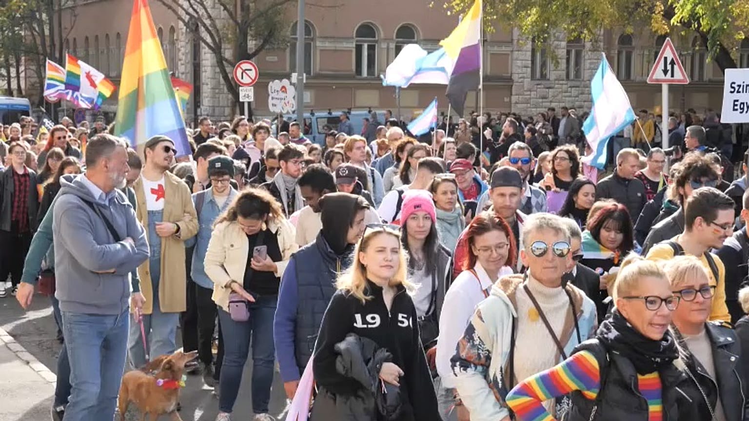 Felvonulók a Pécs Pride-on 2024.10.19-én.