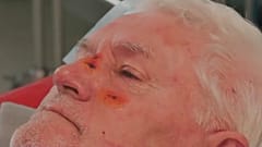 دب يهاجم رجلًا في سلوفاكيا بالقرب من بريفيدزا